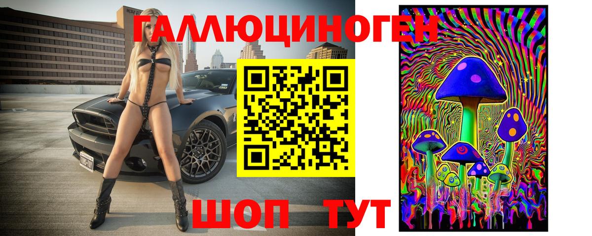 Людиново  Псилоцибиновые грибы Cubensis  Вход с VPN 